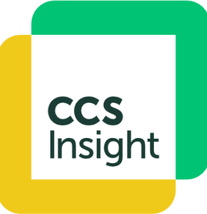 cssinsightlogo
